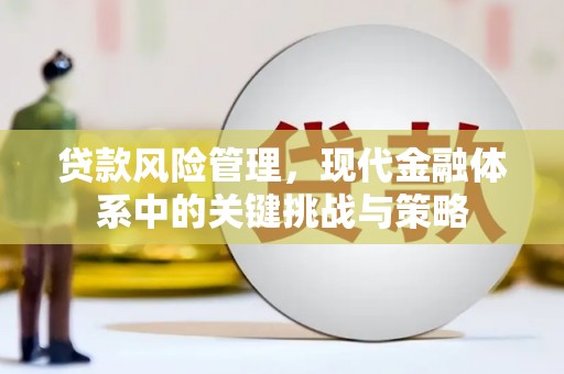 新津贷款风险管理，现代金融体系中的关键挑战与策略