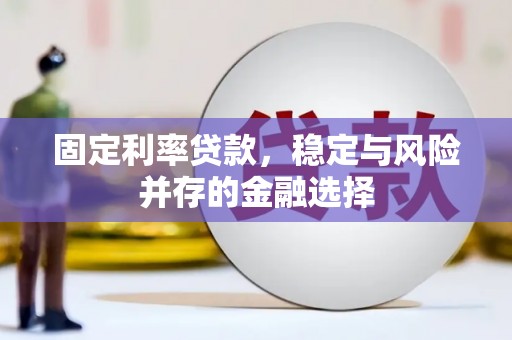 新津固定利率贷款，稳定与风险并存的金融选择