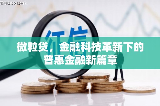 新津微粒贷，金融科技革新下的普惠金融新篇章