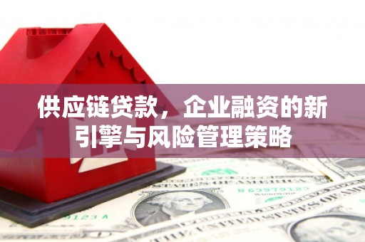 新津供应链贷款，企业融资的新引擎与风险管理策略