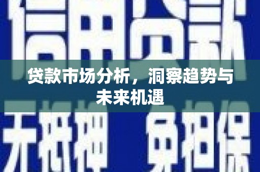 新津贷款市场分析，洞察趋势与未来机遇