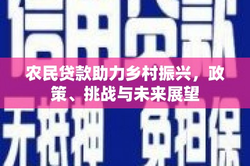 新津农民贷款助力乡村振兴，政策、挑战与未来展望