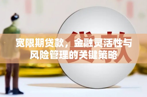 新津宽限期贷款，金融灵活性与风险管理的关键策略