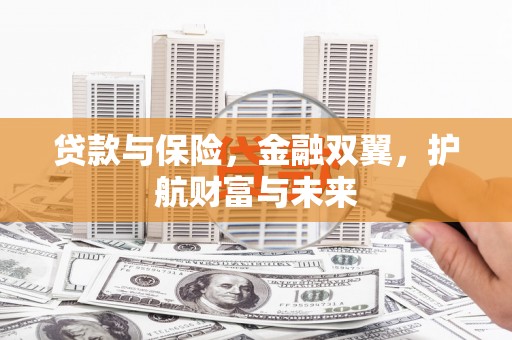新津贷款与保险，金融双翼，护航财富与未来