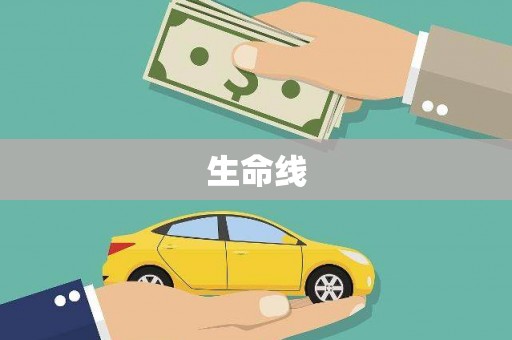 新津生命线