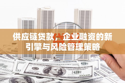 新津供应链贷款，企业融资的新引擎与风险管理策略