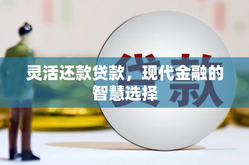 新津灵活还款贷款，现代金融的智慧选择