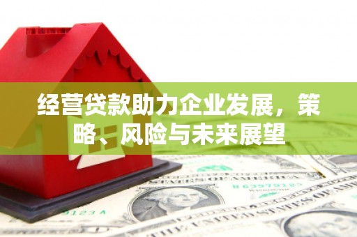新津经营贷款助力企业发展，策略、风险与未来展望