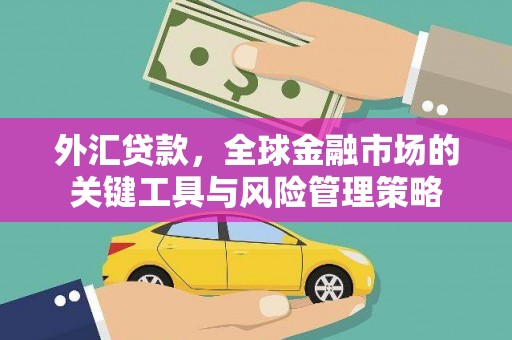 新津外汇贷款，全球金融市场的关键工具与风险管理策略