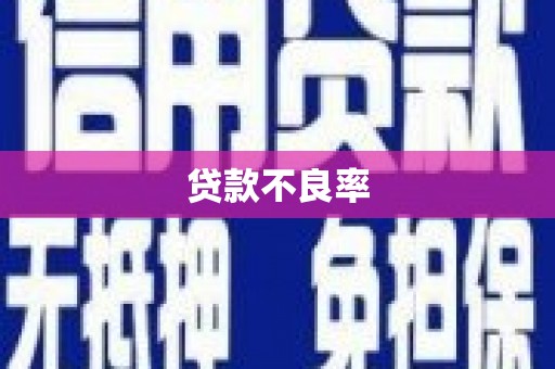 新津贷款不良率