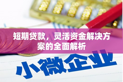 新津短期贷款，灵活资金解决方案的全面解析