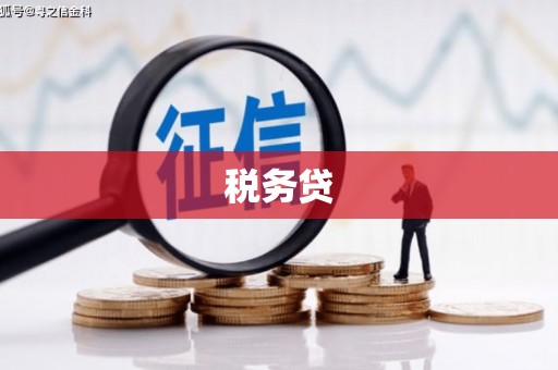 新津税务贷