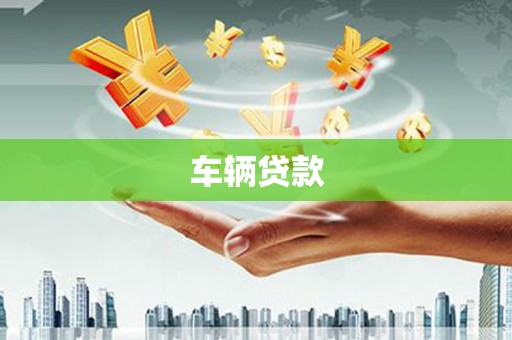 新津车辆贷款