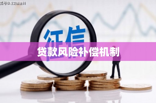 新津贷款风险补偿机制