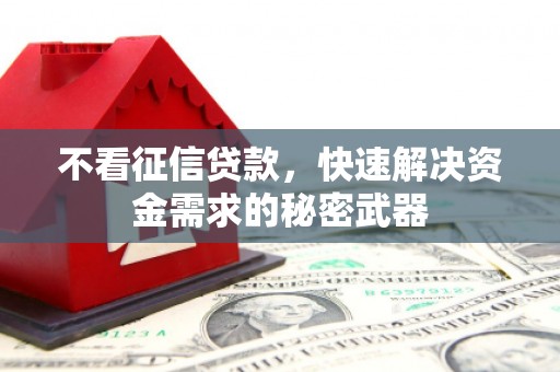 新津不看征信贷款，快速解决资金需求的秘密武器