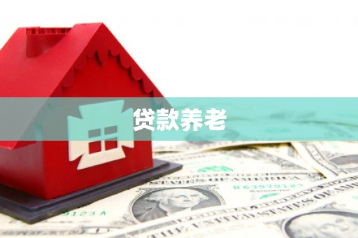 新津贷款养老