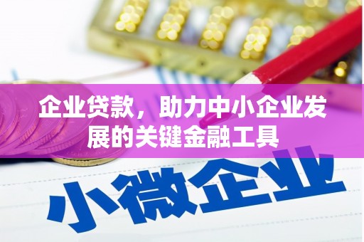 新津企业贷款，助力中小企业发展的关键金融工具