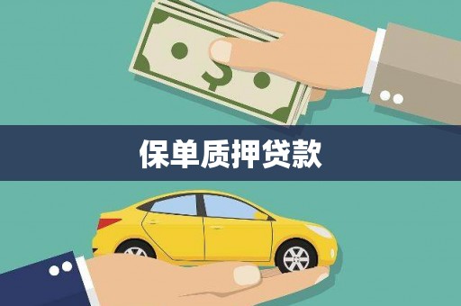 新津保单质押贷款