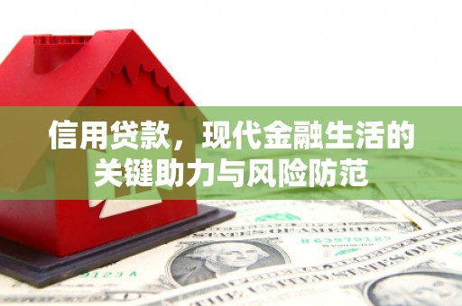 新津信用贷款，现代金融生活的关键助力与风险防范