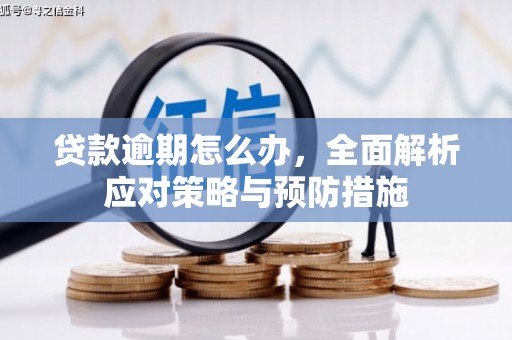 新津贷款逾期怎么办，全面解析应对策略与预防措施