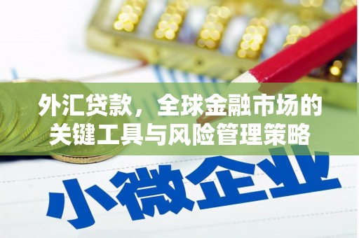 新津外汇贷款，全球金融市场的关键工具与风险管理策略