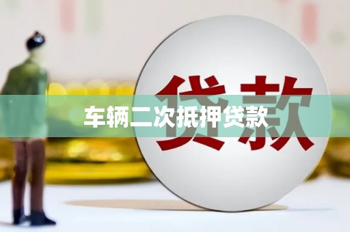 新津车辆二次抵押贷款
