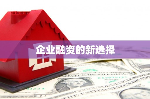 新津企业融资的新选择