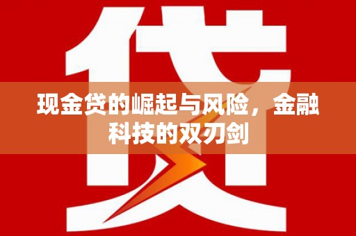 新津现金贷的崛起与风险，金融科技的双刃剑