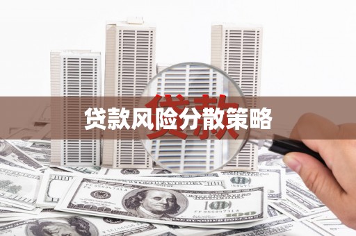 新津贷款风险分散策略