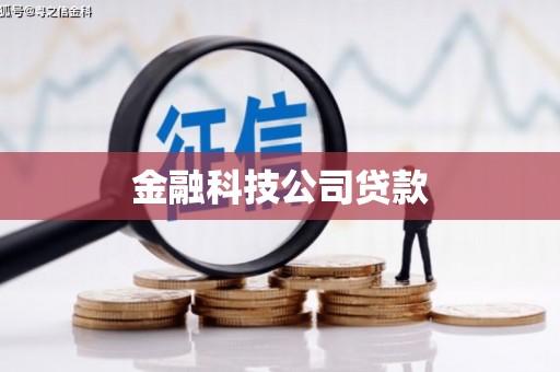 新津金融科技公司贷款