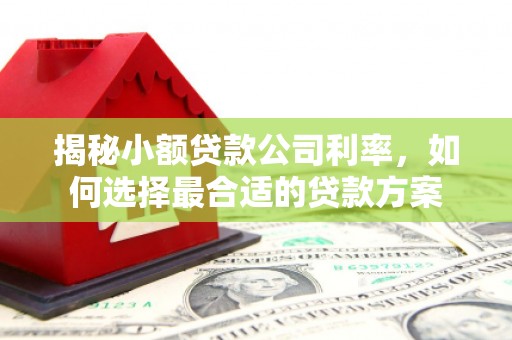 新津揭秘小额贷款公司利率，如何选择最合适的贷款方案
