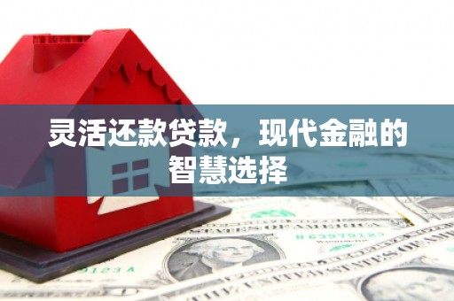 新津灵活还款贷款，现代金融的智慧选择
