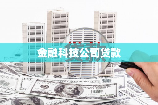 新津金融科技公司贷款