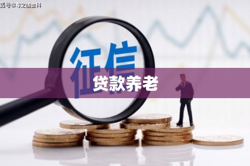 新津贷款养老