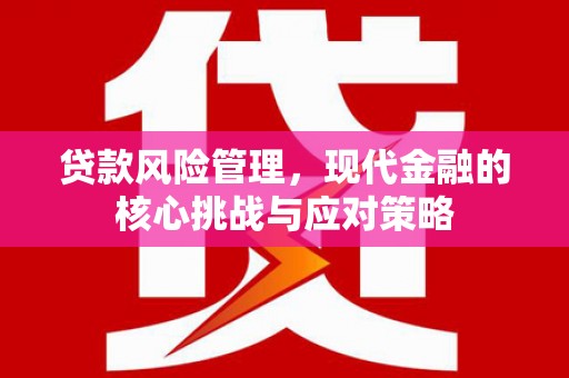 新津贷款风险管理，现代金融的核心挑战与应对策略