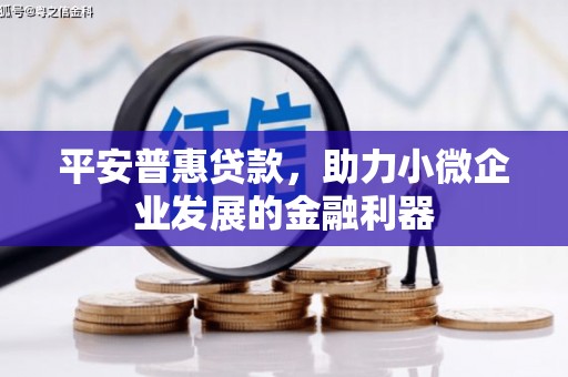 新津平安普惠贷款，助力小微企业发展的金融利器