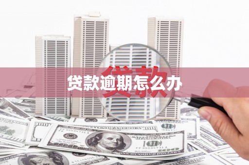 新津贷款逾期怎么办