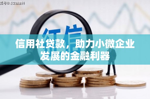 新津信用社贷款，助力小微企业发展的金融利器