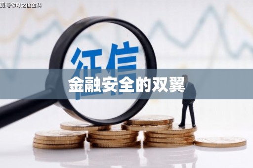 新津金融安全的双翼