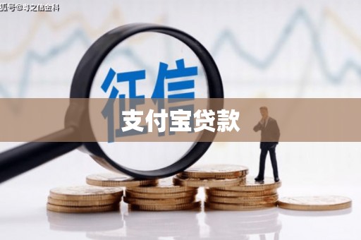 新津支付宝贷款