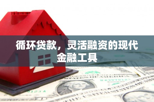 新津循环贷款，灵活融资的现代金融工具