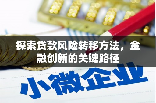 新津探索贷款风险转移方法，金融创新的关键路径