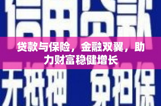 新津贷款与保险，金融双翼，助力财富稳健增长