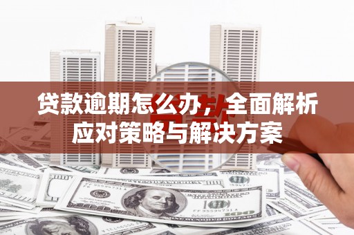 新津贷款逾期怎么办，全面解析应对策略与解决方案