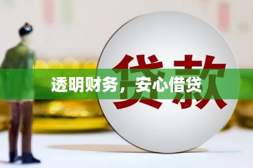 新津透明财务，安心借贷