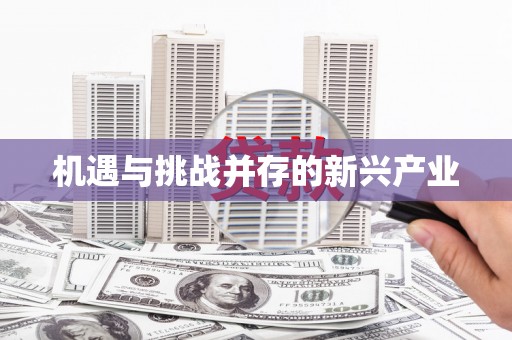 新津机遇与挑战并存的新兴产业
