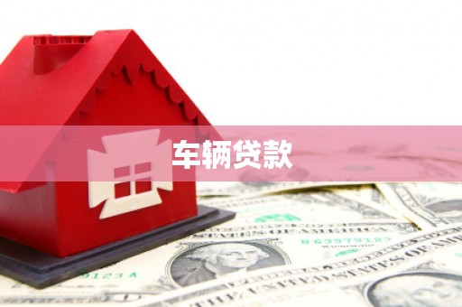新津车辆贷款