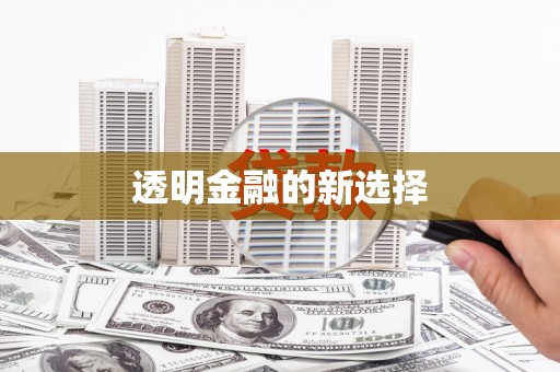 新津透明金融的新选择