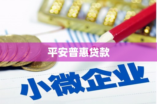 新津平安普惠贷款